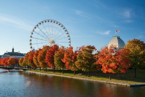 Leith Wheeler Establishes Montréal Office, Hires Industry Veterans Eric Desbiens and Denis Durand